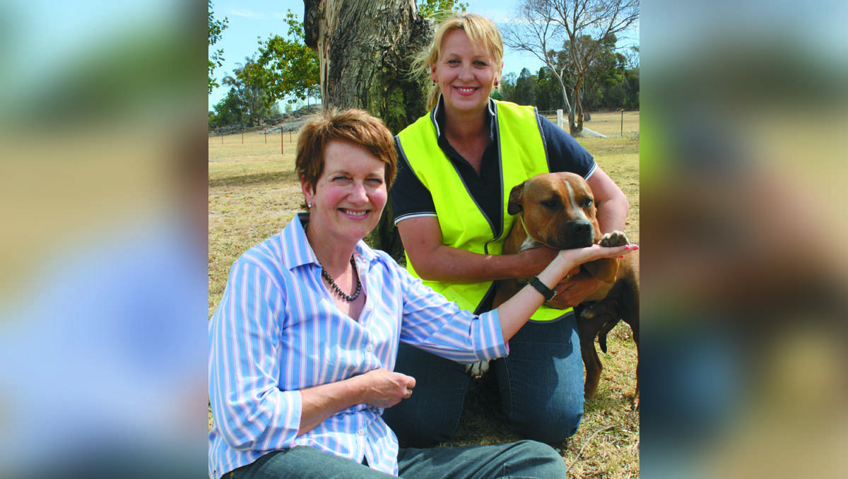 Nina Mackay and Donna Hartley “high five” Buster the Staffy, who led them to where 79-year-old Kosta Zagas was lying on Mrs Hartley’s property.