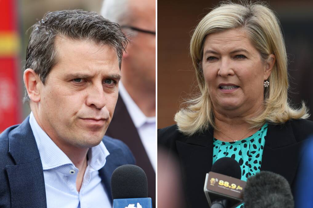 NSW health minister Ryan Park has vowed to address an "over-reliance" on private recruitment firms but shadow health minister Bronnie Taylor said some were necessary. Pictures file