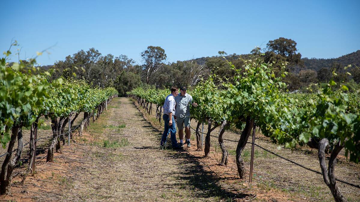SPS Solar & Water designed and installed a solar irrigation system for Huntington Estate winery at Mudgee, saving them approximately $10,000 per year. Picture supplied