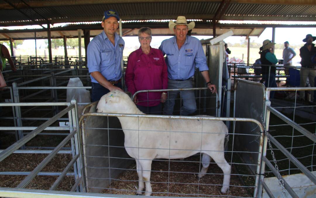 The $5500 top-priced ram, Reavesdale 47, with Andy Carter, McDonald Lawson Carter, Loris Denyer, Reavesdale Wiltpolls and Bill Lawson, McDonald Lawson Carter.