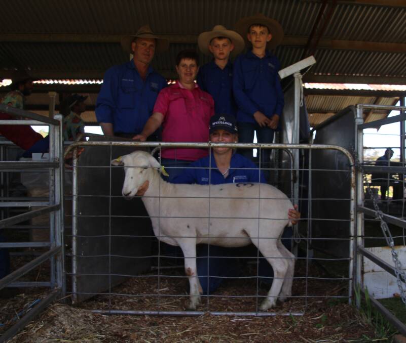 The $1800 top-priced stud ewe, Brigalow Yellow 477, with Damien, Coralie, Liam, Kaelan and Chloe Moss, Brigalow Wiltipolls, Tamworth