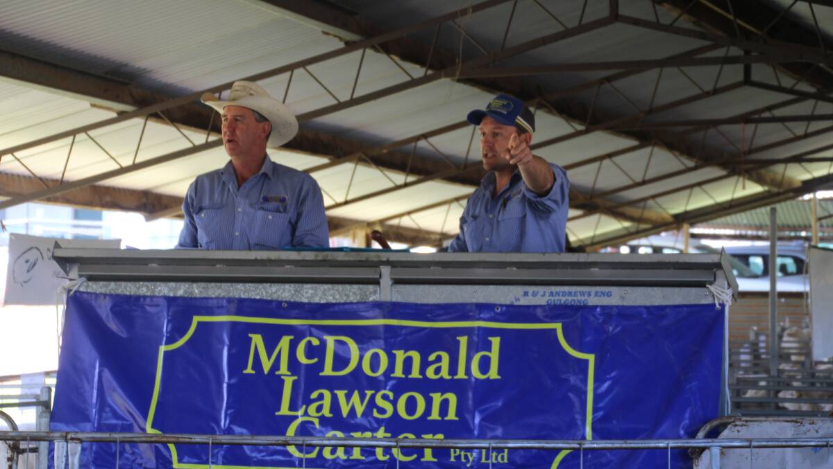 Bill Lawson and Andy Carter, McDonald Lawson Carter, Mudgee.