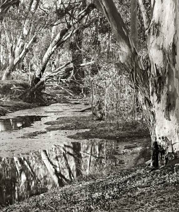 The Gulf Track: Used by early bush rangers making fast track to the West as they could cross the Castlereagh River at Togarlan Crossing.  