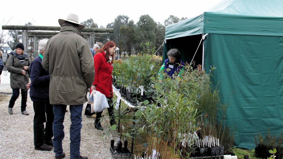 Great Choices: Watershed Landcare will have a selection of locally grown, native tube stock for sale at the Mudgee Small Farm Field Days this weekend. For full program visit watershedlandcare.com.au/events.