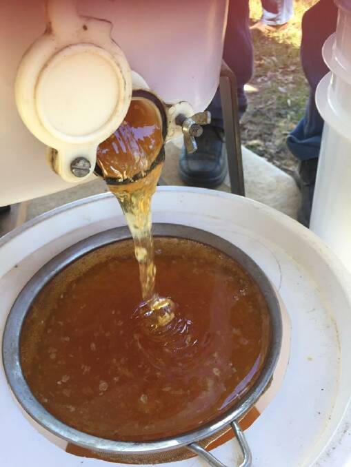 Are you keen for some sweet honey extraction action?