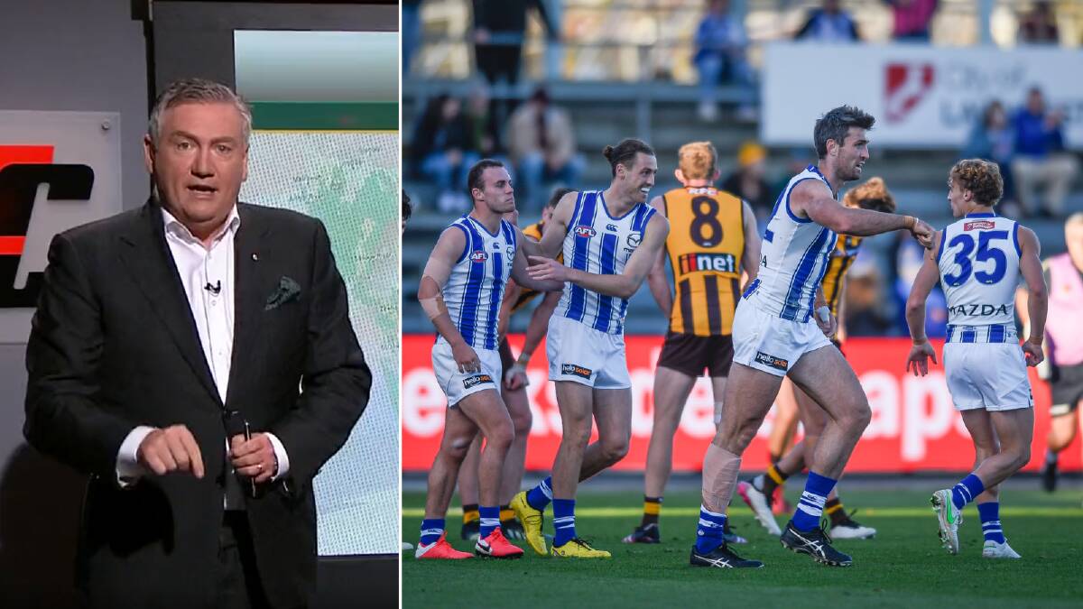 Former Collingwood president Eddie McGuire presented an idea for a hybrid North Melbourne and Tasmanian Kangaroos side as a solution to the state's AFL bid.