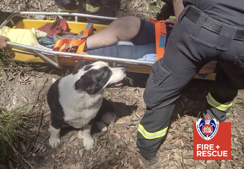 Toby watches on to make sure the woman makes it to safety. Image: Fire and Rescue NSW. 