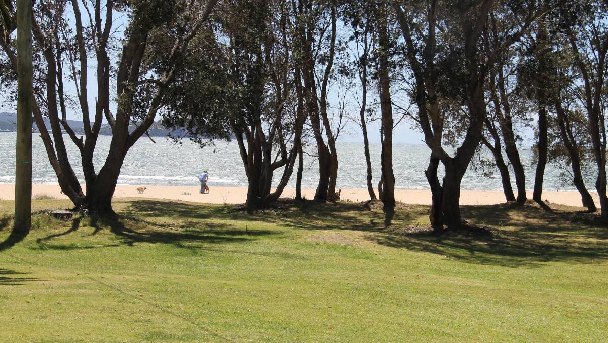 Gorgeous Twofold Bay … the outlook across the Seahorse Inn’s back lawn.