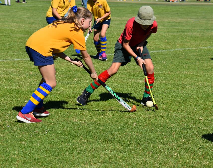 LEARNING SKILLS: Over 100 students from Mudgee Public School, Cudgegong Valley Public School and Rylstone Public School participated in a hockey gala day on April 3. Photo: Jay-Anna Mobbs