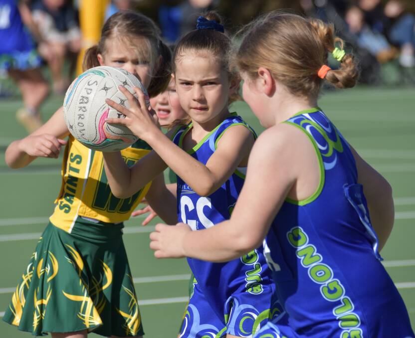 EYEING OFF START DATES: Mudgee District Netball have been tirelessly working closely with Netball NSW to plan for the season, in-place restriction pending. Photo: Jay-Anna Mobbs