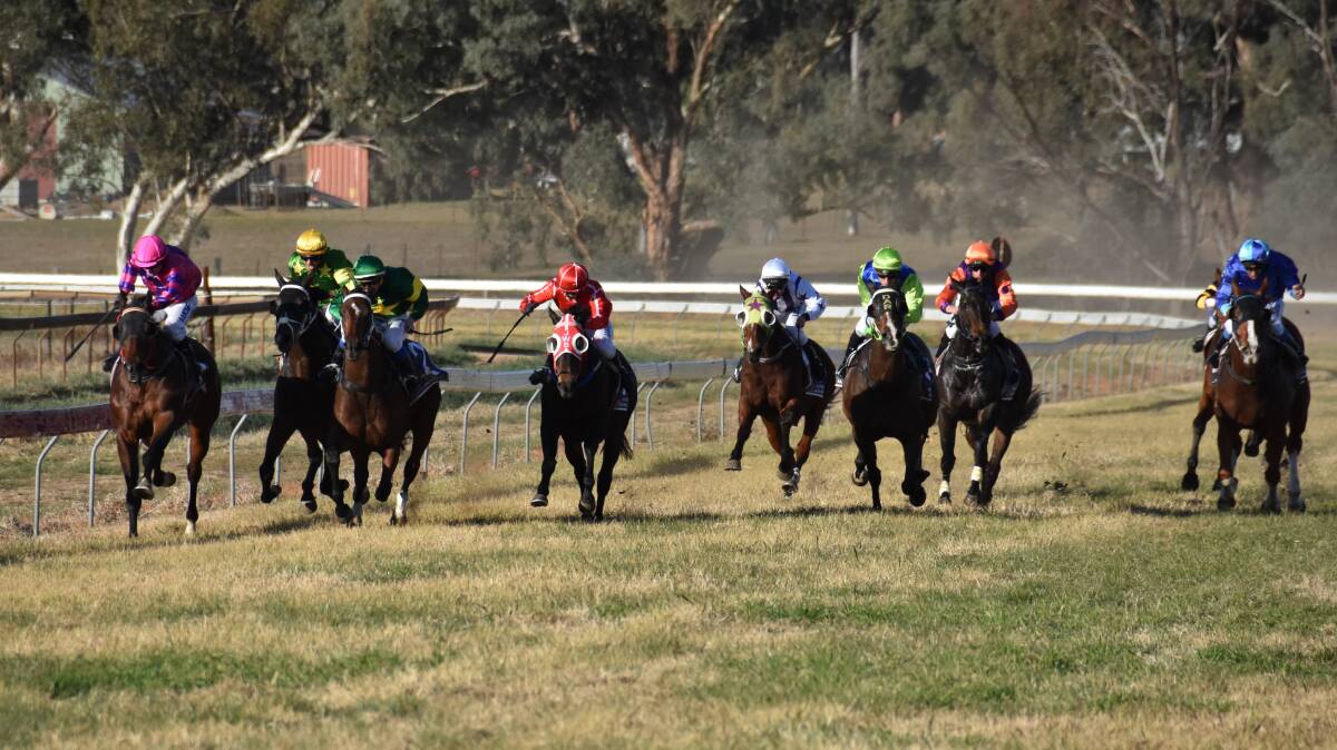 RACING SEES BOOST: Runners snapped at the 2019 Gulgong Cup. Photo: Jay-Anna Mobbs