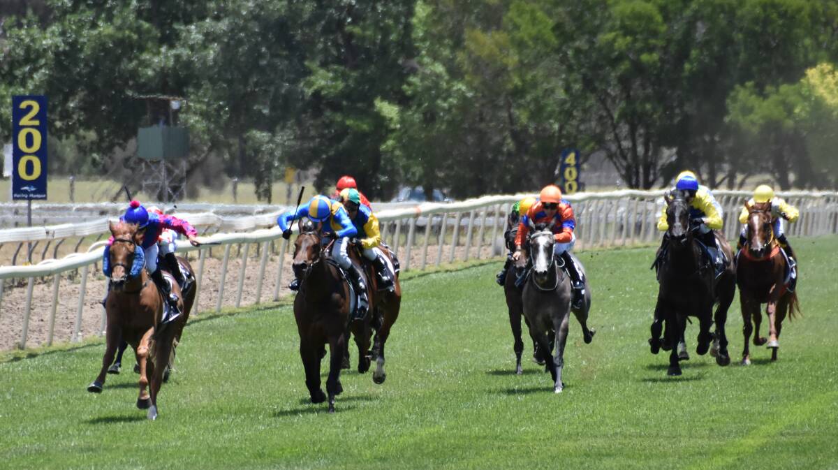 TRIUMPHANT: Brooke Somers product, Budhwar (pink and blue silks) stormed to victory in race one of the 2019 Mudgee Cup meet. Photo: Jay-Anna Mobbs