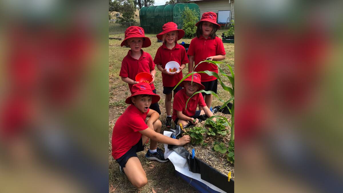 Goolma Public School students making healthy snacks. Pictures: SUPPLIED