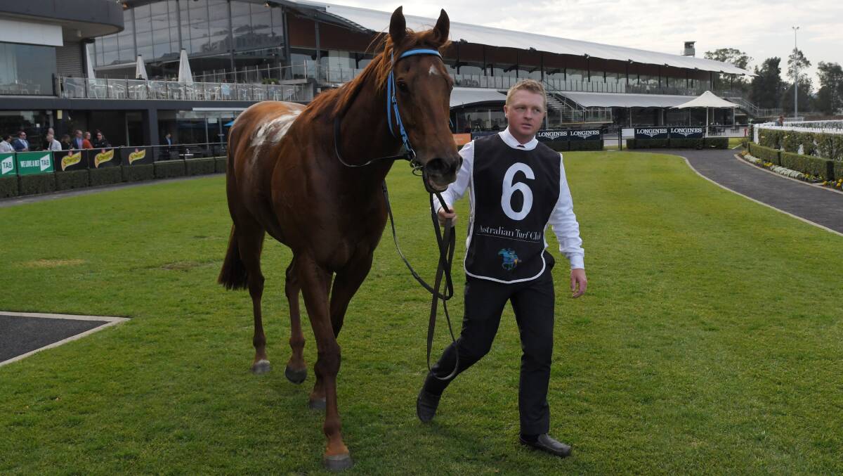RACE DAY: Mudgee trainer Cameron Crockett with Sharpe Hussler after a win at Rosehill Gardens earlier this year. Photo: AAP Image/Simon Bullard