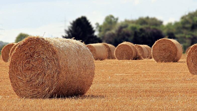 FARMERS: Day in the Dirt to raise much needed funds for farmers, with all profits to be donated to 200 bales. Photo: Pixabay