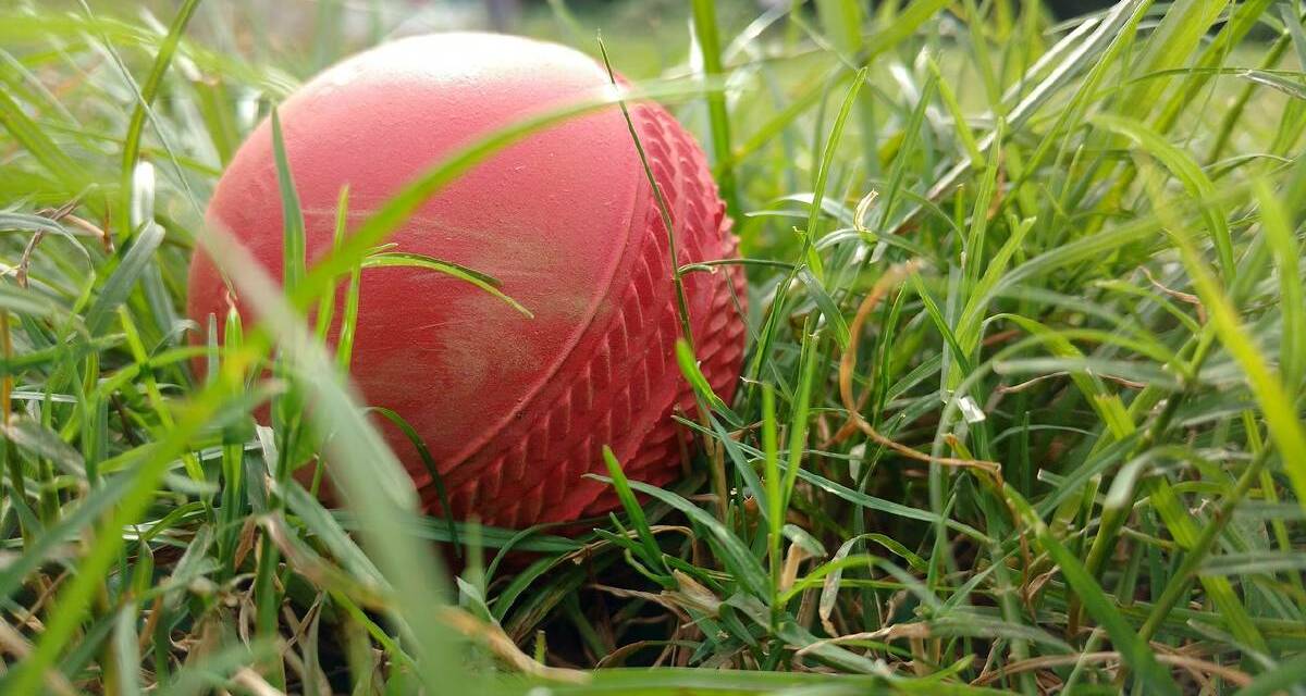 RESULTS: Coolah and Goolma claim victory in round 15 of Gulgong district cricket. Photo: Pixabay