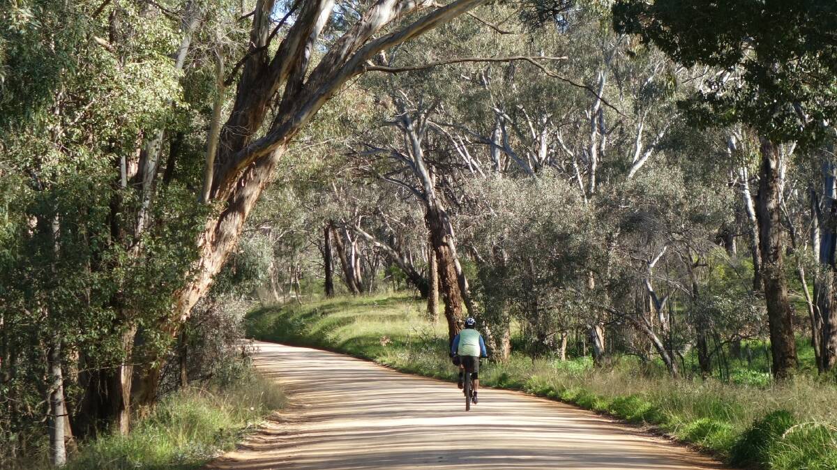 EXPLORE: A solo cyclist from the ACT on the CWC road near Beryl in the Mid-Western Regional Council area. Picture: BARBARA HICKSON