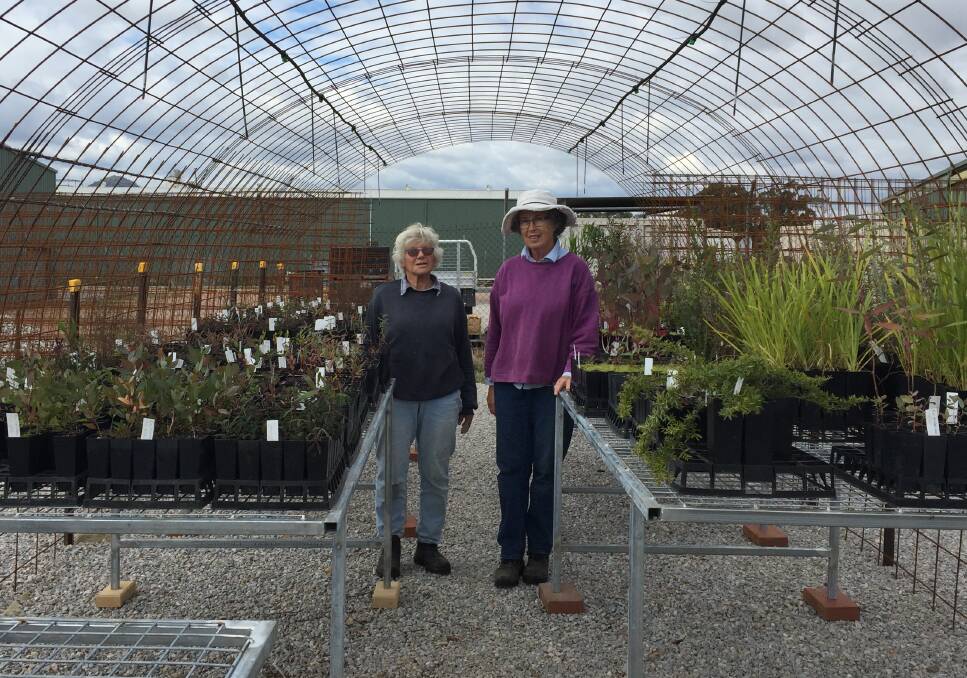 GROWTH: Christine and Wendy are volunteers who grow native tubes stock for the community and are pictured standing under the new shade house. Photo: Supplied