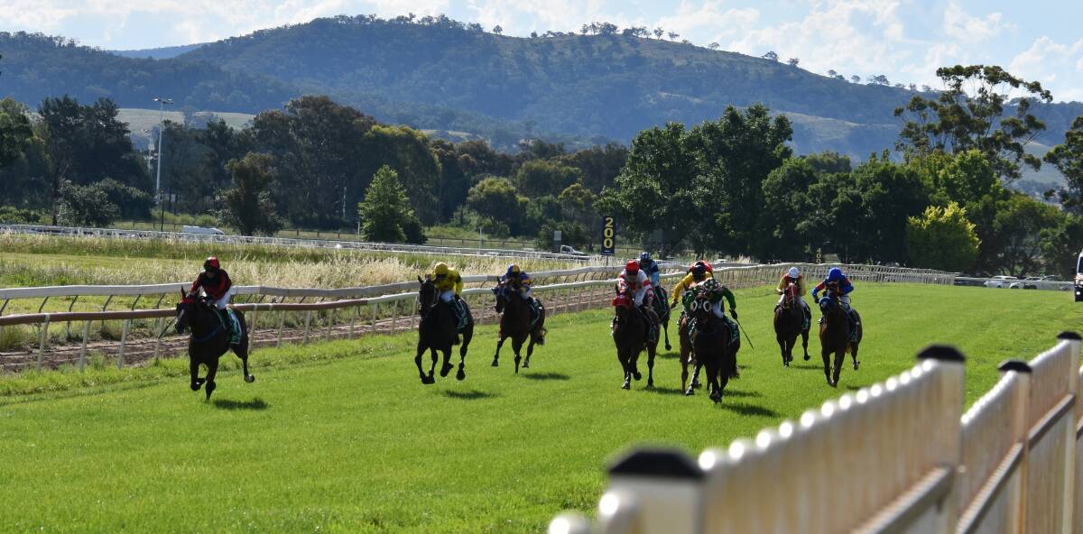 CUP: Not Negotiating (far left) lead the field home in the $75,000 Mudgee Cup. Photo: JAY-ANNA MOBBS