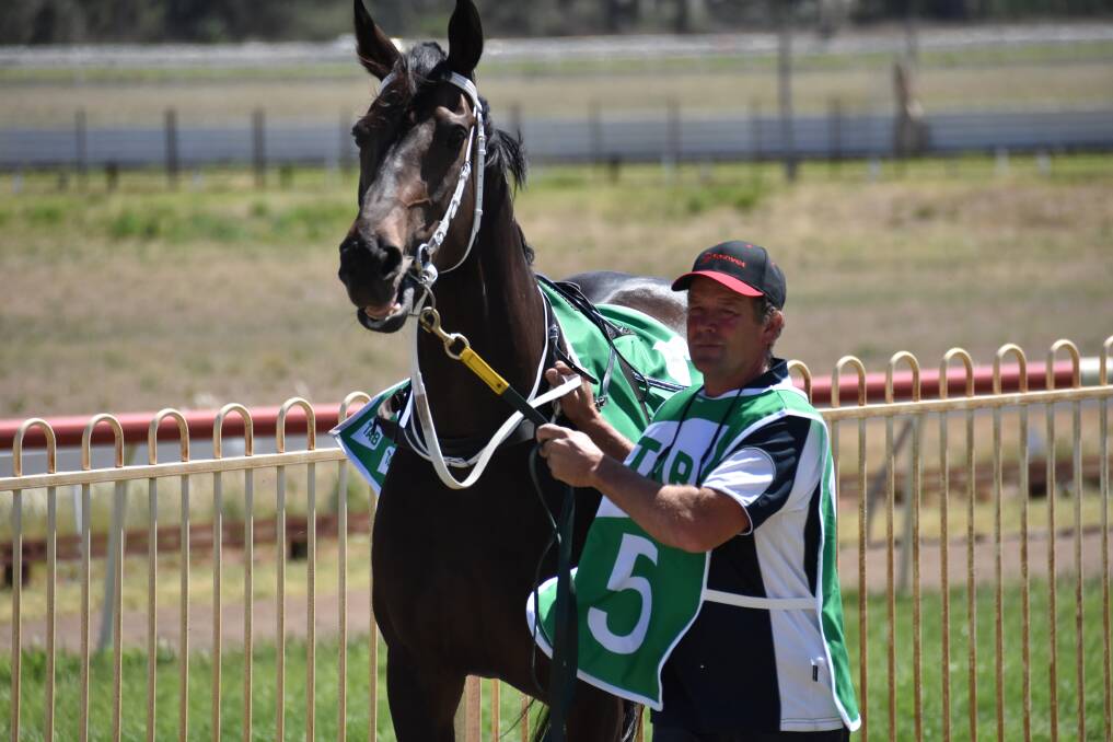 IN TO WIN : Marada, pictured with trainer Brett Thompson, will run in the Whitsundays Maiden Showcase Plate (1500 metres). Photo: Jay-Anna Mobbs