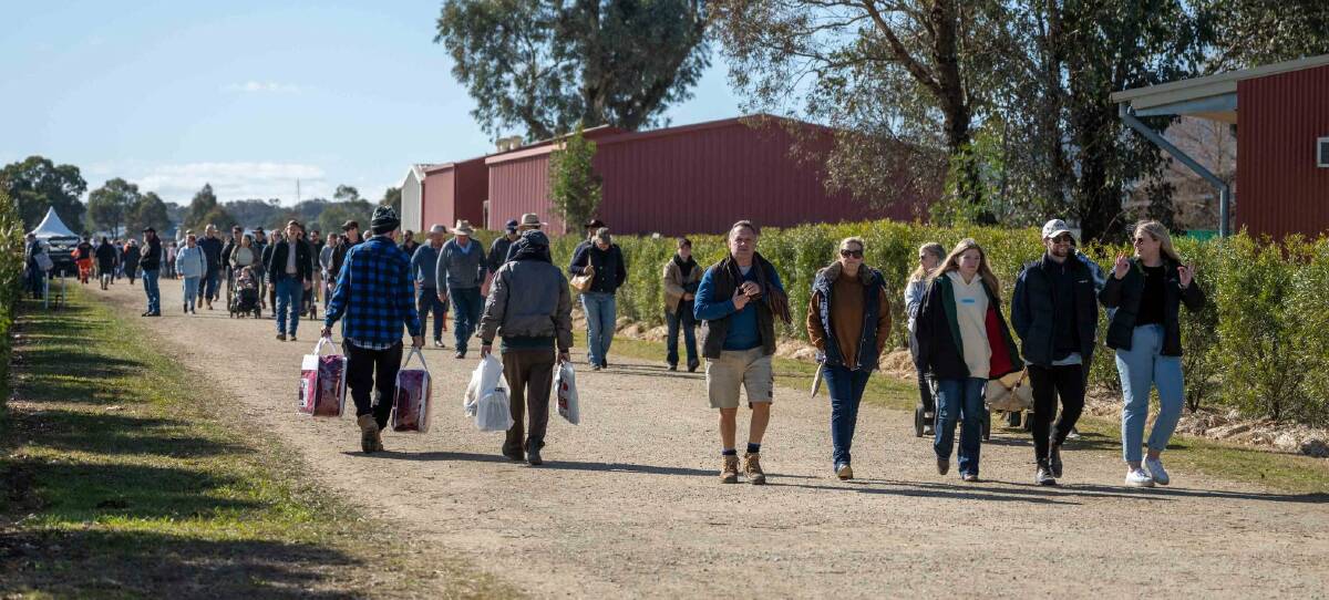 A large crowd walk the rows of the Mudgee Small Farm Field Days on July 9, 2022. Picture: Mudgee Small Farm Field Days