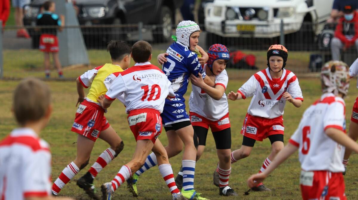 FINGERS CROSSED: The Mudgee Dragons are hoping lockdowns across the entire Group 10 region are lifted in time for them to finish their respective finals. Photo: Petesib's Photography
