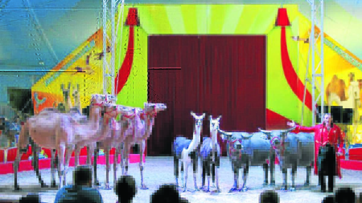 WILL YOU WATCH?: Hudsons Circus will be in Mudgee from July 24 to 28 at AREC grounds. Photo: File