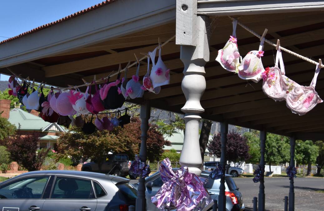 PINK: Dozens of bras hanging outside of the Signature Properties Mudgee office. Picture: JAY-ANNA MOBBS