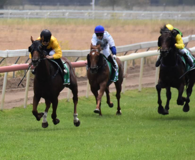 BEAUTIFUL RUN: Gayna Williams' All Too Difficult stormed to victory on Tuesday at the Mudgee Racecourse with Mikayla Weir in the saddle. Photo: Jay-Anna Mobbs