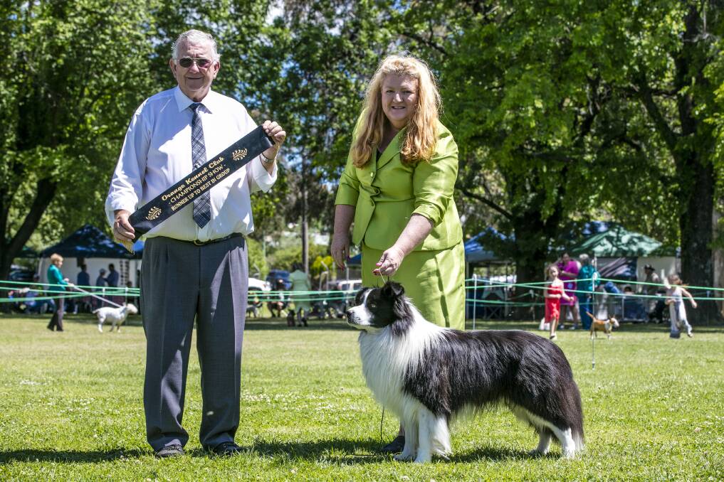 CHAMPION: Gulgong's Jennifer Bayliss (centre) presented with a runners up sash at an Orange Kennel Club championship dog show for her border collie. Picture: SUPPLIED