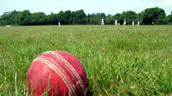 CRICKET: Gulgong's Cricket has commenced.