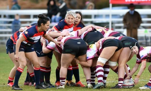 HARD TO IGNORE: The Mudgee Wombats ladies squad have been proving to be real contenders in this year's competition. Photo: Col Boyd