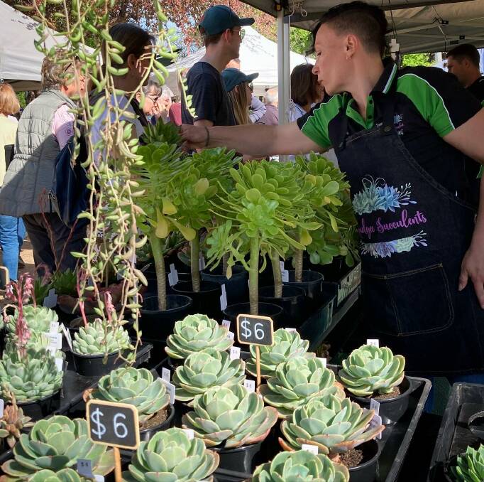 CROWD PLEASER: Mudgee Succulents with multiple customers at an earlier Mudgee Farmers Market. Picture: MUDGEE FARMERS MARKET 