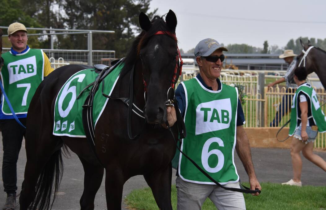 IN THE RUNNING: Kazumi (pictured) to run alongside fellow Mark Milton-trained Harley Fat Boy in the Gooree Park Class 1 Handicap (1200 metres). Photo: Jay-Anna Mobbs
