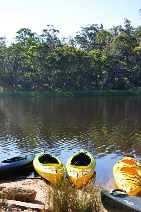 OUT IN NATURE: Kayak tours are a popular activity in the region. Picture: FILE