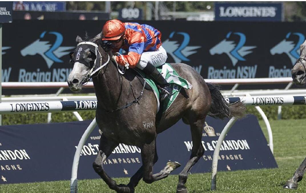 DONE IT AGAIN: Amy's Shadow has won two Highway races in a row, after her latest stint at Randwick on Saturday. Photo: Supplied
