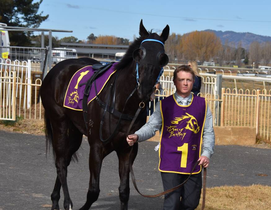 ON THE IMPROVE: Native Mudgee trainer Cameron Crockett leads Starring ahead of race two at this year's Winter Races. Photo: Jay-Anna Mobbs
