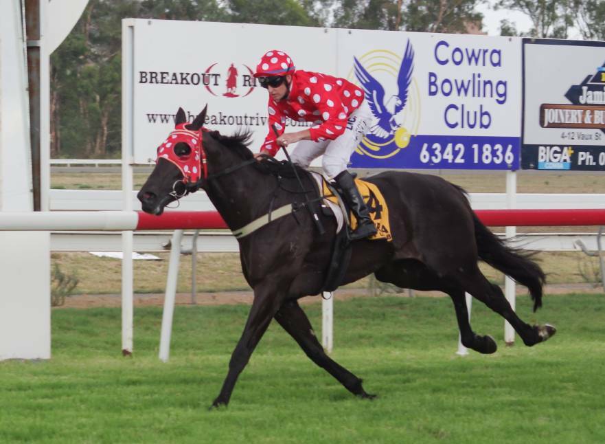 CHANCE: Mackellar's Love, trained by Mudgee's Cheryl Crockett, has been nominated for the Mudgee Cup Sprint.
