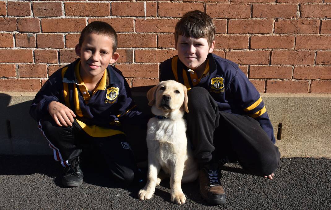WELCOMING A NEW FRIEND: Mudgee Public School year 6 students, Jordan Nixon-Shaw and Jacob Gould pose with their school's new therapy dog, Arnie. Photo: Jay-Anna Mobbs