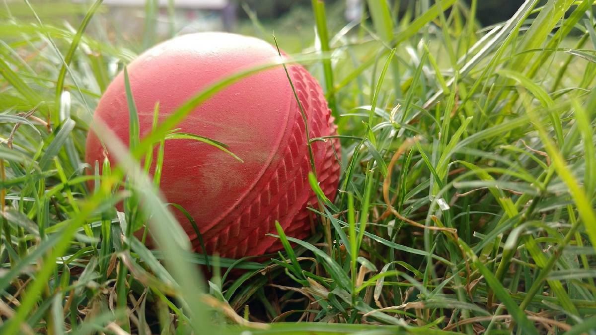 ROUND 18: Goolma scored the most runs for round 18 of Gulgong cricket with a total of 204. Photo: Pixabay