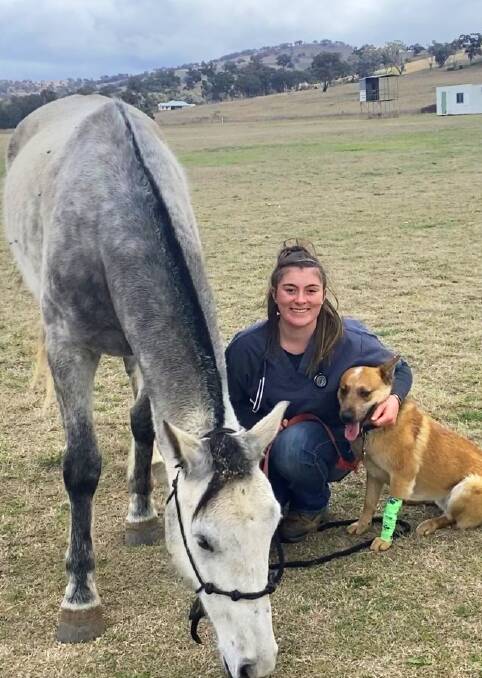 ON HER WAY: Leadville teenager Charlotte Abbott with her horse Blue and dog Rex. She has kick-started her dream career as a veterinary nurse with a school-based traineeship through TAFE NSW. Photo: Supplied