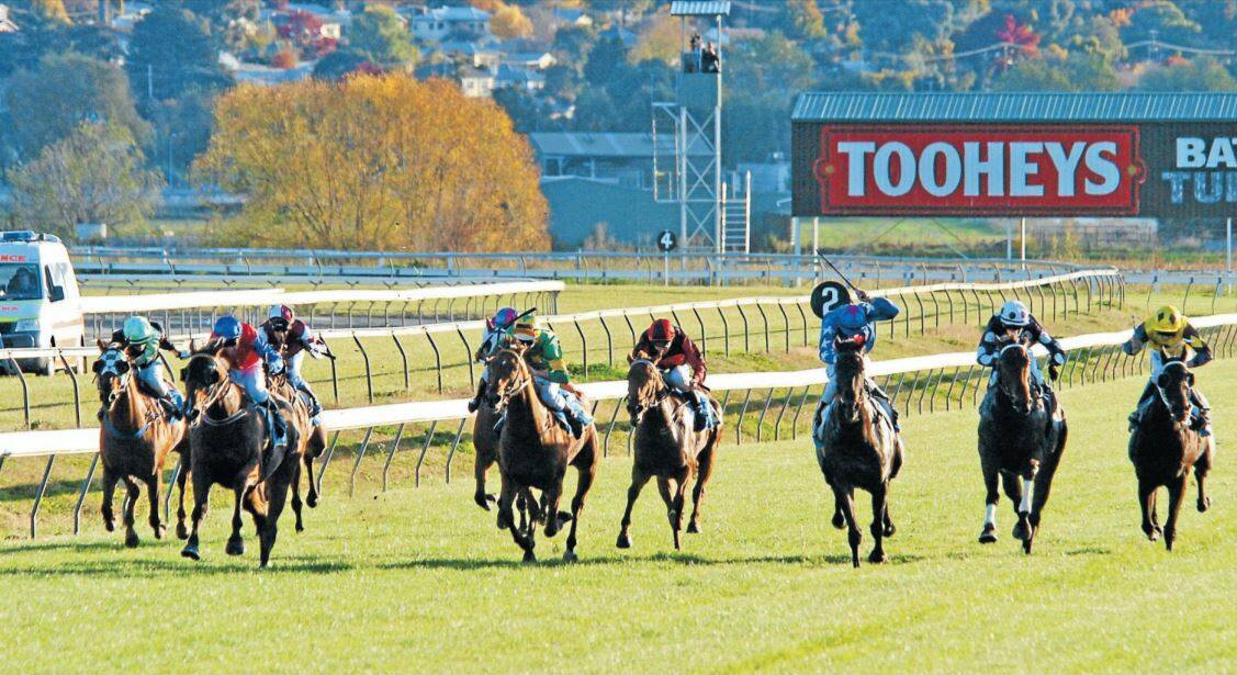 THE RUN HOME: Champion hoop Greg Ryan guides the Marc Conners trained Pimpala Secret (second from left) down the home straight at Tyers Park.