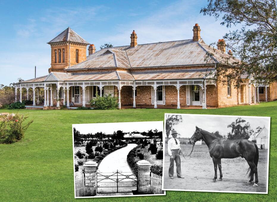 (Main image) Apart from internal renovations, Pine Ridge homestead has changed little since its makeover by J.A. Buckland 120 years ago. (above left) This image from a feature in the Sydney Mail of January 1905 shows the original Pine Ridge entrance, gardens and homestead in its Buckland heyday. (above right) A. Buckland with his prized trotter Fritz at Pine Ridge. (Photo by courtesy Club Menangle Archives).