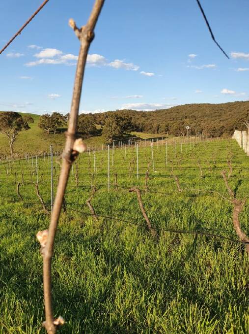 Winemakers & Distillers Trail: Get on the rail to boutique wineries, breweries and distilleries.
