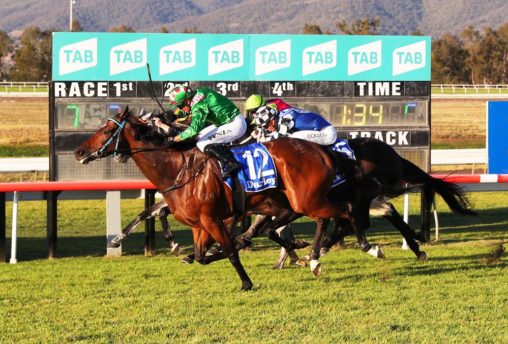 Commando Hunt, in the green colours on the outside, holds out his rivals to win the Scone Cup for trainer Cameron Crockett. Picture by Peter Lorimer