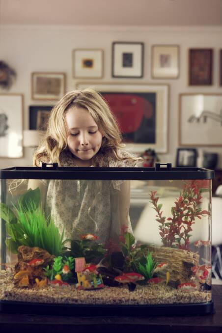 GREAT FIRST PET: Keeping fish is a fantastic way to teach children responsibility. Photo: Petbarn