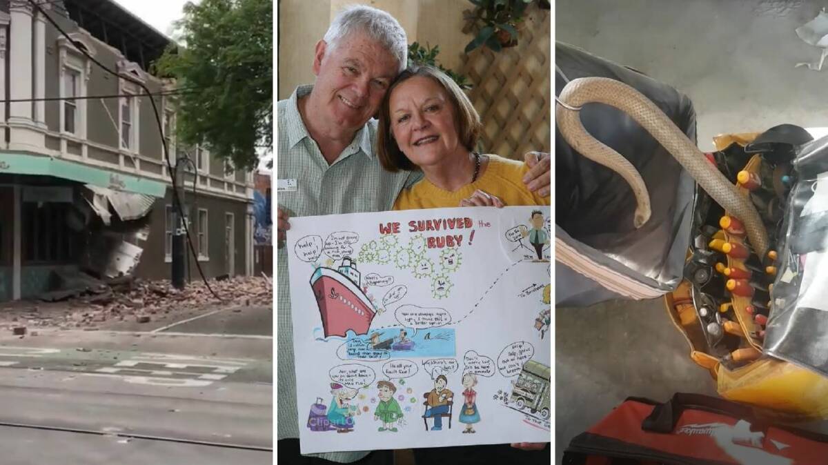 BEST OF THE WEEK: Streets crumble in Melbourne after an earthquake, surviving the Ruby Princess, and a snake found in a primary school construction site.