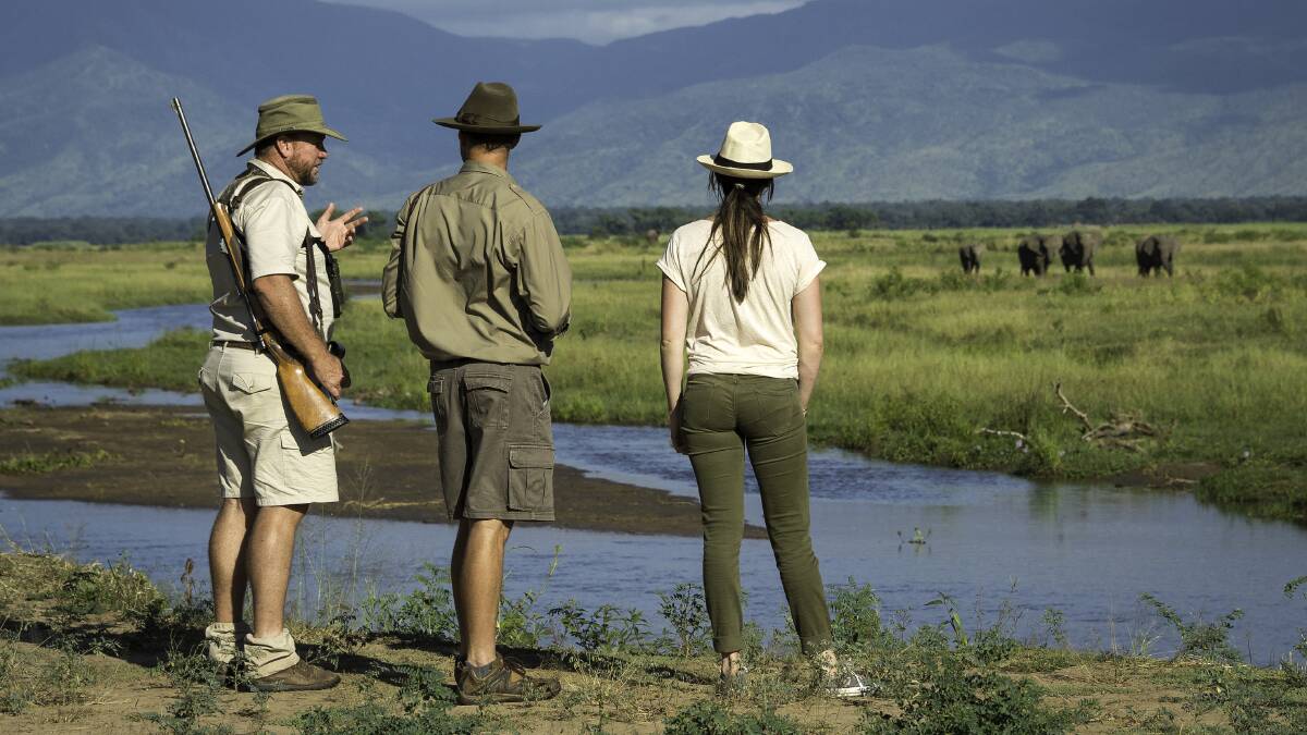Walking amongst wild animals gives you a buzz you wont find on game drives. Picture: John's Camp