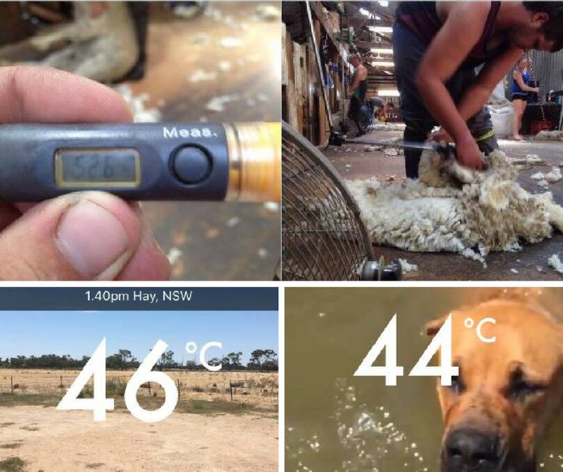 How the heatwave strikes the Riverina - just click on the iamge above to see how it panned out.
