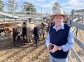 Kevin Flak, Casino Livestock Enterprises, bought light steers for the Tablelands at Grafton on Thursday where prices were well up on last month, in line with the likes of Kempsey and of course Dubbo.